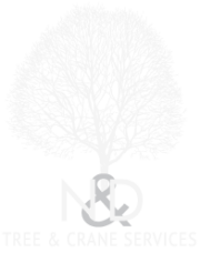 N&D TREE LOGO WHITE 3
