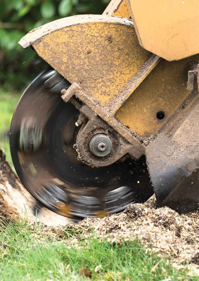 STUMP GRINDING SERVICES BY N & D TREE
