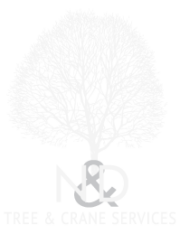 N & D Tree & Crane Services