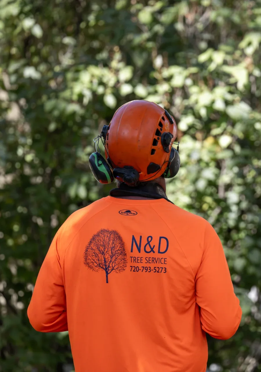 ND TREE CRANE SERVICES RESIDENTIAL COMMERCIAL SERVICES 14 e1736998460796 | N&D Tree & Crane Services