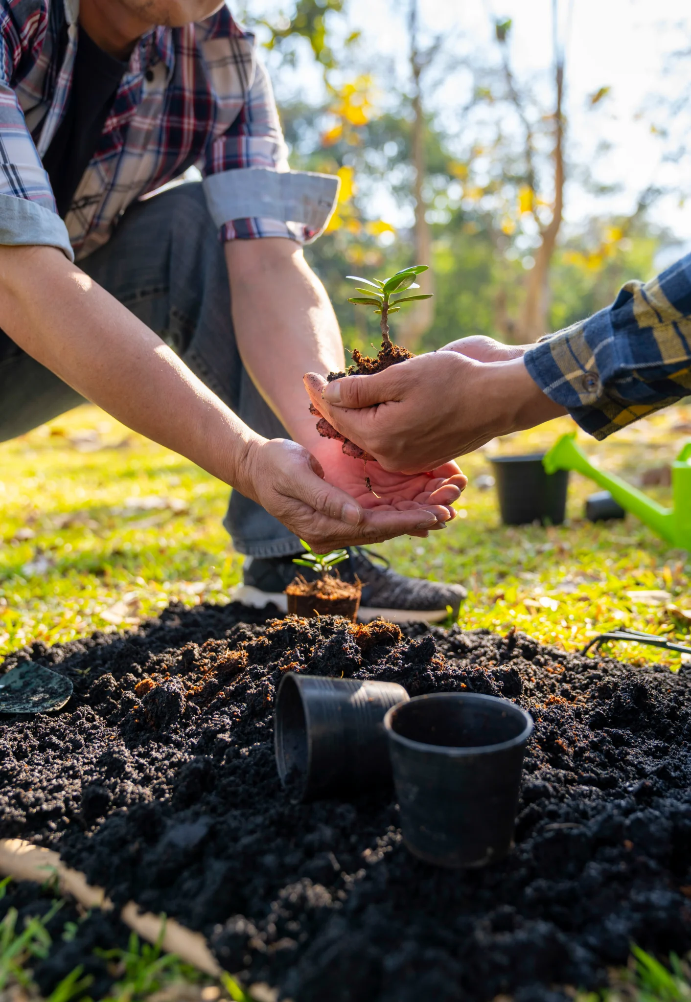 two men are planting trees and watering them to he 2023 11 27 04 59 34 utc | N&D Tree & Crane Services