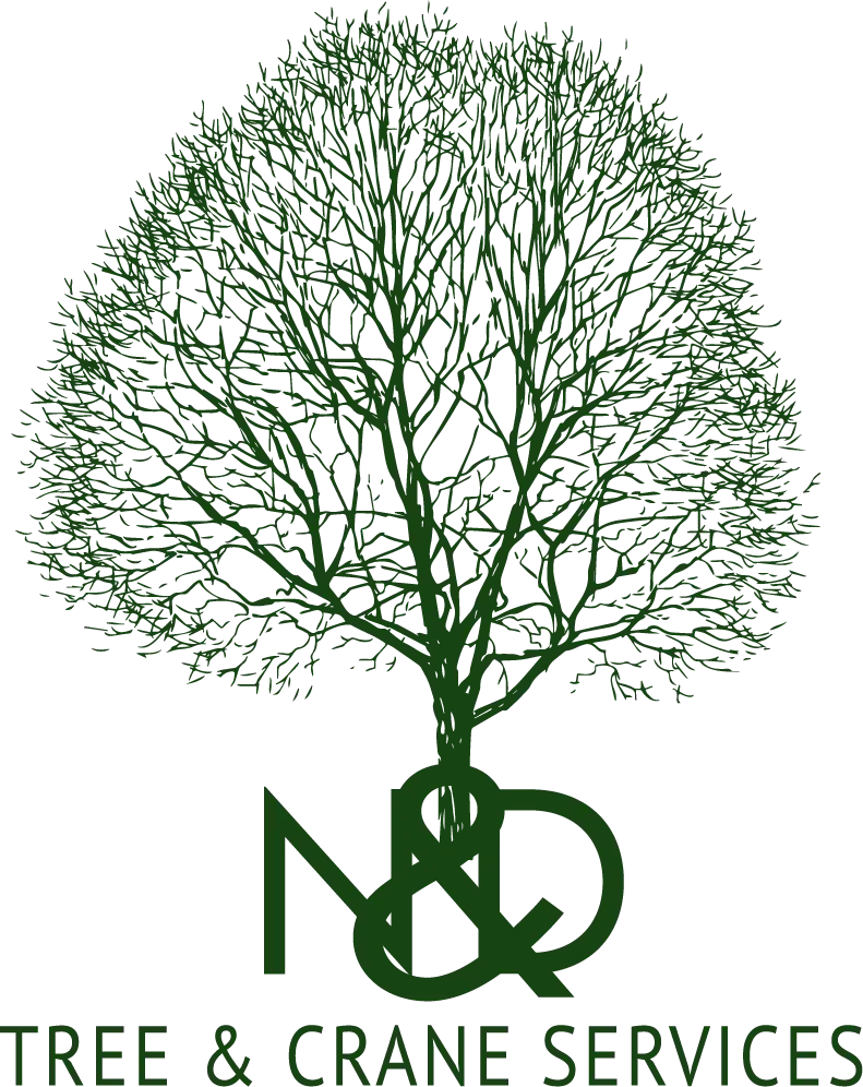 N&D Tree in Parker, CO